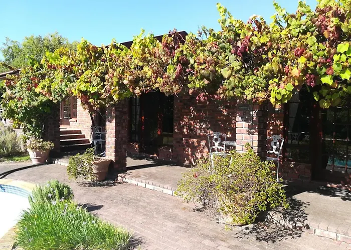 Le Petit Vignoble